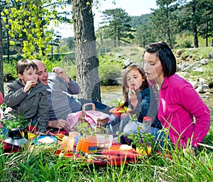 Family picnic