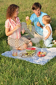 Family on picnic