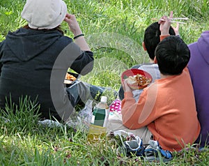 Family picnic
