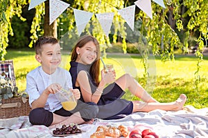 Family picnic