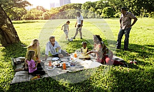 Family Picnic Outdoors Togetherness Relaxation Concept