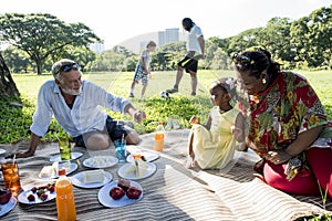 Family Picnic Outdoors Togetherness Relaxation Concept