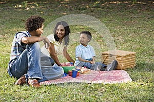 Family picnic in park.