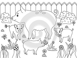 Family of pigs. Children coloring. Black lines, white background. Mom boar with piglets. Cartoon vector