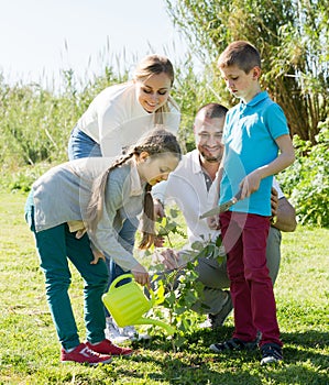 family planting tree outdoors