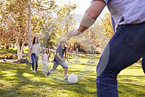 Family Playing Soccer In Park Together