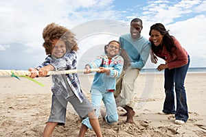 Family playing tug of war on beach