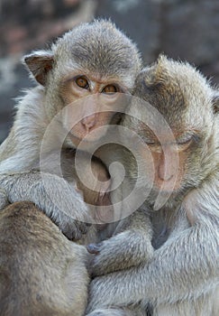 Familia retrato 