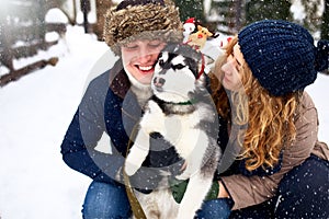 Family portrait of cute happy couple hugging with their alaskan malamute dog licking man`s face. Funny puppy wearing