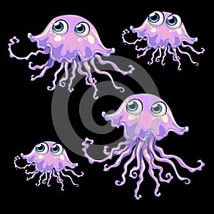 Family purple jellyfish