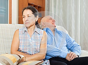 Family quarrel. Mature woman having conflict with senior man