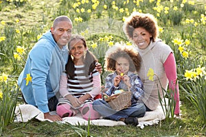 Family Relaxing In Field Of Spring Daffodils