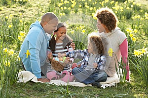 Family Relaxing In Field Of Spring Daffodils