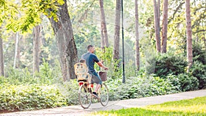 Family Riding Bikes Through Summer Park