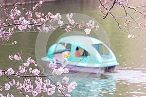 Family riding on paddle boat in Tokyo Chidorigafuchi Sakura park