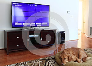 Family Room with TV and Dog