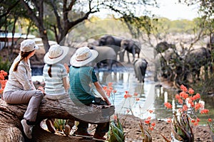 Family safari