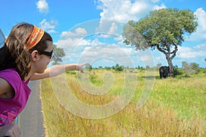 Family safari vacation in Africa, child in car looking at elephant in savannah, Kruger national park