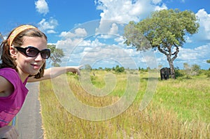 Family safari vacation in Africa, child in car watching elephant in african savannah, Kruger park wildlife