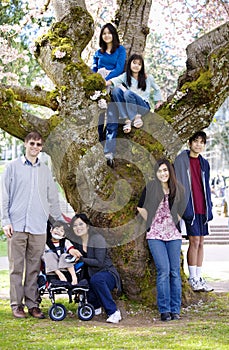 Family of seven by large cherry tree in full bloom