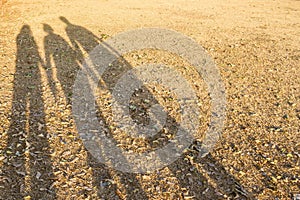 Family shadow on the grasses