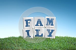 FAMILY sign made of wooden blocks on a green grass