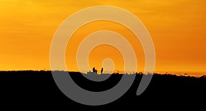 Family silhouette having fun on the beach at the sunset time. Concept of friendly family and of summer vacation