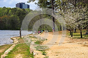 A family sitting on the banks of the lake with a young man walking a dog surrounded by rippling lake water and lush green trees