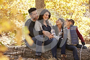 Family sitting on fallen tree in a forest look at each other