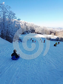 Family of skiers in winter. People skiing and sledging across mountains and snowy forest. Winter activities