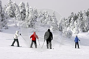 Family Skiing Downhill