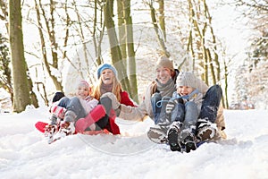 Familia trineo a través de nevado bosques 