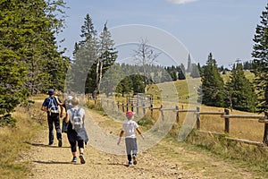 Family with small children hiking outdoors in summer nature, walking in Rogla