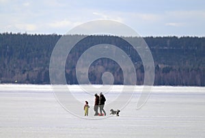 A family with a small toddler and a dog playing on a frozen lake.