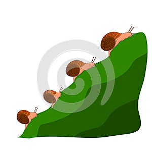 Family snails climb a mountain, cartoon on a white background.