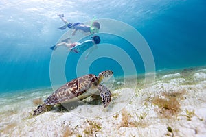 Family snorkeling with sea turtle