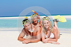 Family With Snorkels Enjoying Beach Holiday photo