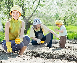 Family sows seeds in soil
