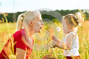 Family summer - blowing dandelion seeds