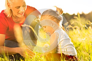 Family summer - blowing dandelion seeds