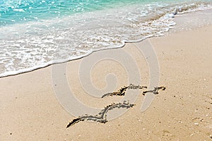 Family symbol - three seagulls drawing on the sand on the golden sunny sandy beach in the resort on summer vacation rest