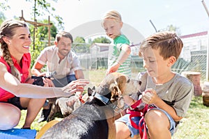 Family taking home a dog from the animal shelter