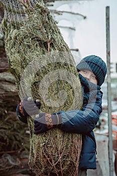 Family, tradition, celebration. Boy shopping for Christmas decoration at market. Little kid boy buying christmas tree in