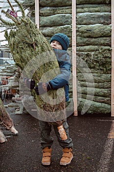 Family, tradition, celebration. Boy shopping for Christmas decoration at market. Little kid boy buying christmas tree in