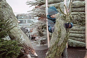 Family, tradition, celebration. Boy shopping for Christmas decoration at market. Little kid boy buying christmas tree in