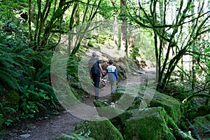 Family traveling in pacific northwest