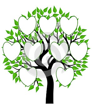 Family Tree Concept Illustration Vector