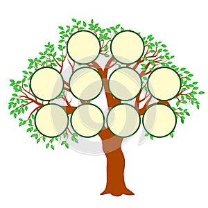 Family Tree Concept Illustration Vector