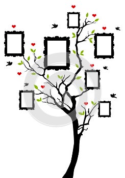 Family tree with frames, vector