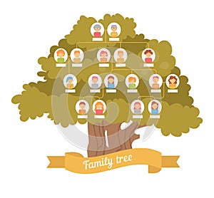 Family tree. Genealogy photo